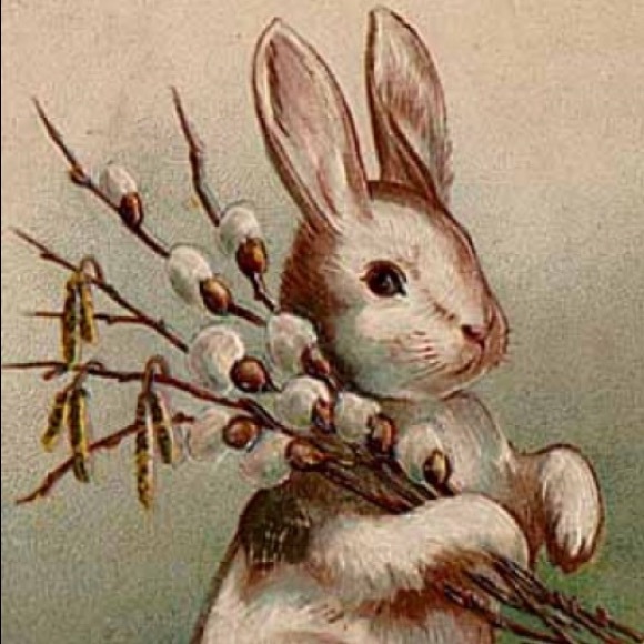 🌷 - Picture 2 of 8